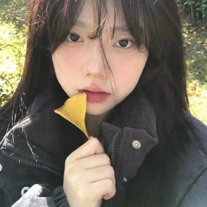 小森林2018