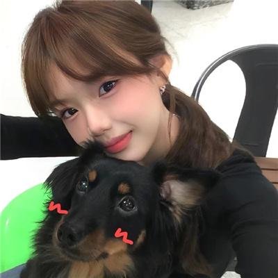 几度菊花香